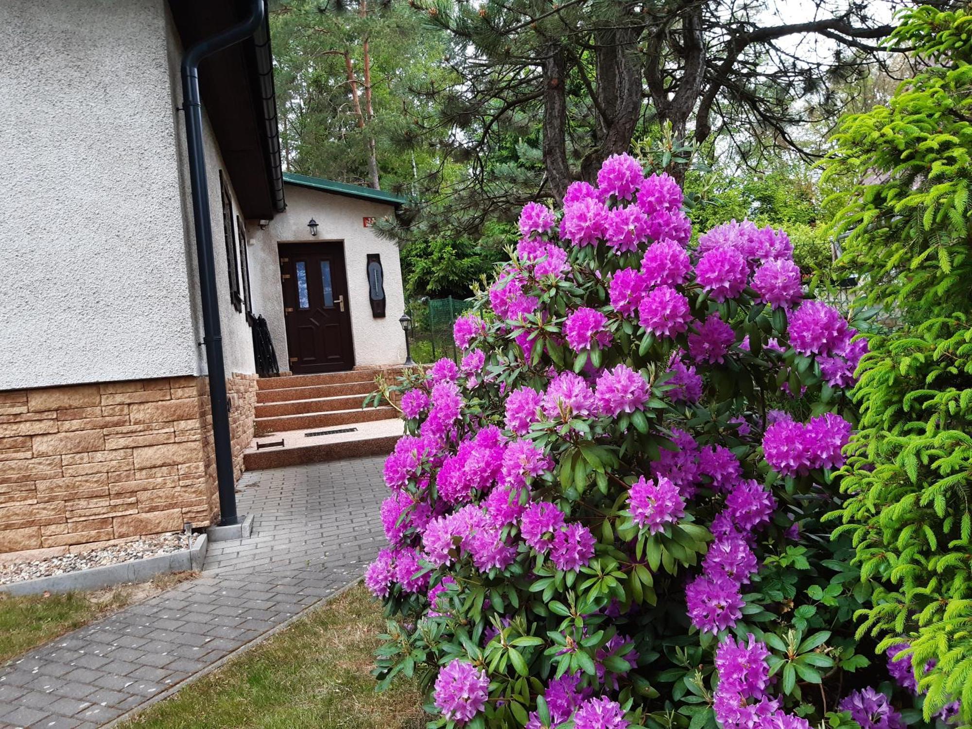 Chata Rynartice 7 Jetřichovice Zewnętrze zdjęcie